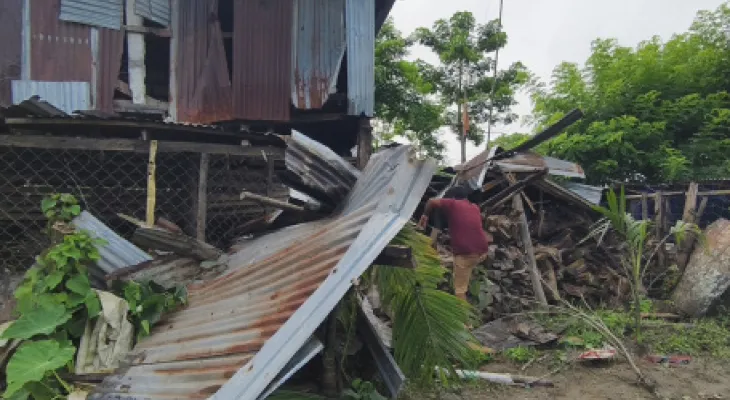 আটকে পড়া শাবককে উদ্ধারে গোয়ালঘর গুঁড়িয়ে দিল মা হাতি