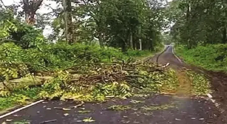 ব্যাপক বৃষ্টিতে বিপর্যস্ত কার্শিয়াংয়ের গাড়িধুরা