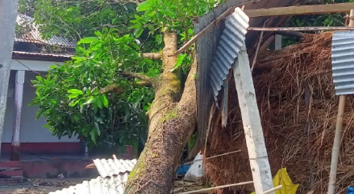 রাতে ব্যাপক ঝড়-বৃষ্টিতে ক্ষতিগ্রস্ত মাথাভাঙার তিনটি গ্রাম, ভাঙল শতাধিক বাড়ি, নেই বিদ্যুৎ