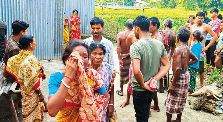 গোঁসাইরহাটে সাপের কামড়ে সপ্তম শ্রেণির ছাত্রের মৃত্যু