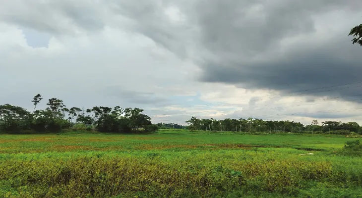 আশুদি বিল ঘিরে তৈরি হবে ইকো ট্যুরিজম পার্ক