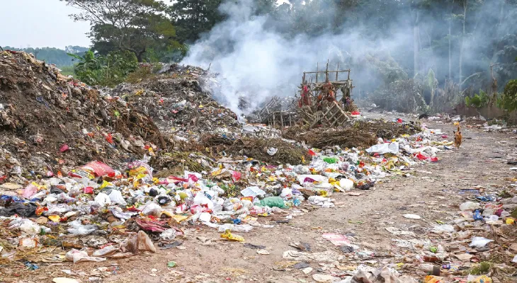 নোকাড়িগামী রাস্তার পাশে খোলা ভাগাড়, দুর্গন্ধে অতিষ্ঠ বাসিন্দারা