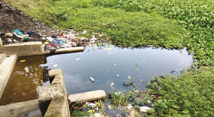 বনগাঁয় জঞ্জাল পড়ে দূষিত ইছামতীর  জল, স্নান করলে ছড়াচ্ছে নানা রোগ