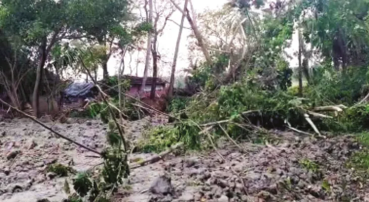 পাথরপ্রতিমায় ঘূর্ণিঝড়ে ক্ষতিগ্রস্ত ৫০টি বাড়ি, ভাঙল বহু গাছপালা