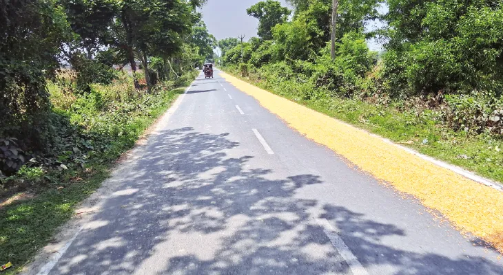 রাস্তার উপর ফসল শুকোনো চলছেই, পুলিস প্রশাসনের নজরদারি নিয়ে প্রশ্ন