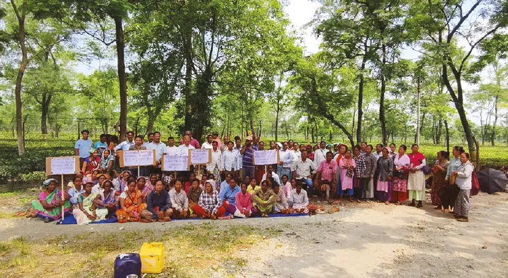 কেন্দ্রের নিয়ন্ত্রণাধীন বাগানে মজুরি বকেয়া, ধর্না-বিক্ষোভ চা শ্রমিকদের