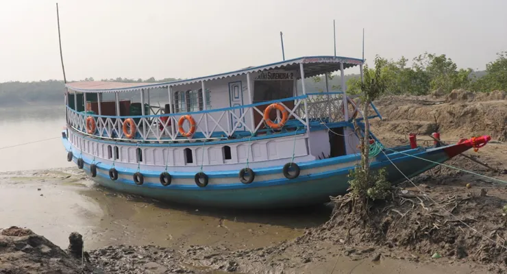 মাছ ধরার মরশুমের আগে বোট লাইসেন্স দেওয়া নিয়ে বিতর্ক