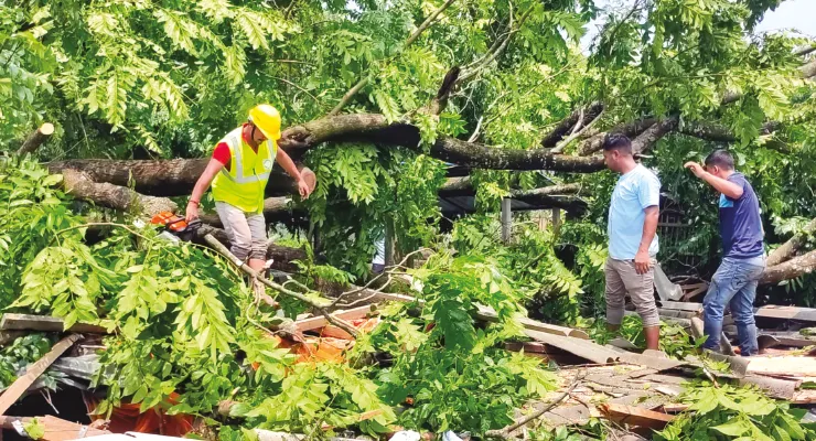 আধ ঘণ্টার ঝড়ে লন্ডভন্ড একাধিক গ্রাম, বিপর্যস্ত বিদ্যুৎ পরিষেবা