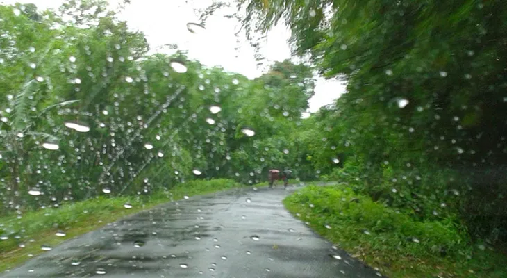 আলিপুরদুয়ারে স্বস্তির বৃষ্টি