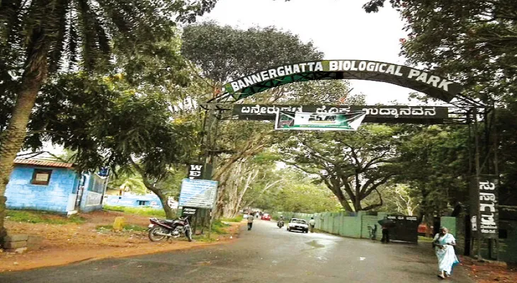 বাঘ-সিংহের হেডমিস্ট্রেস