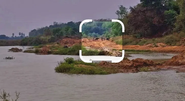 ভরতপুরে ডাম্পার, ট্রাক্টর নয়, গোরু ও মোষের গাড়িতে পাচার হচ্ছে বালি