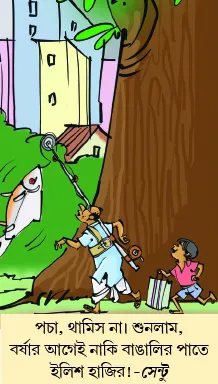 মজারু