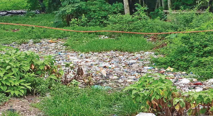 দুর্গন্ধে নাজেহাল পঞ্চায়েত লাগোয়া গ্রামবাসীরা, জেলাশাসককে নালিশ
