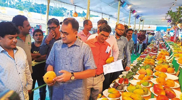 মালদহে শুরু আম মেলা, মিলছে ১৪০ প্রজাতি