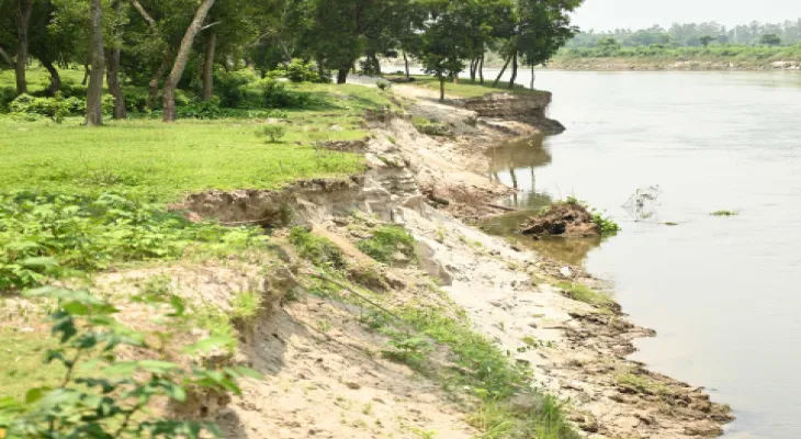 আত্রেয়ীর পাড় ভেঙে ভেসে যাচ্ছে গাছপালা, বালুরঘাটে ডাঙ্গি ফরেস্ট বাঁচাতে পদক্ষেপের দাবি স্থানীয়দের