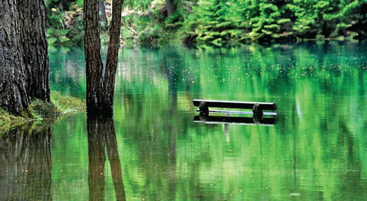 সবুজ হ্রদ