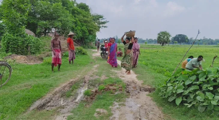 মাথায় মাটি বয়ে এনে কাঁচা রাস্তা মেরামত মহিলাদের