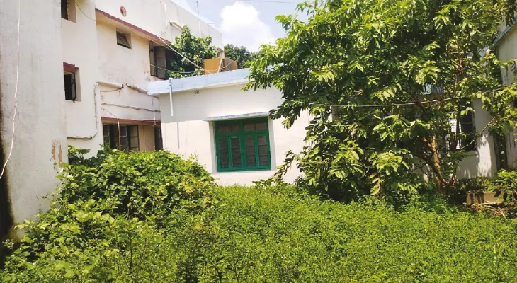 পার্থেনিয়ামের জঙ্গলে ভরেছে দেগঙ্গা গ্রামীণ হাসপাতাল চত্বর