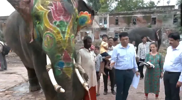 রথযাত্রার আগে আমেদাবাদে জগন্নাথ দেবের মন্দিরে থাকা হাতিকে দেখতে এলেন পশু চিকিৎসকরা, হল রুটিন স্বাস্থ্য পরীক্ষাও
