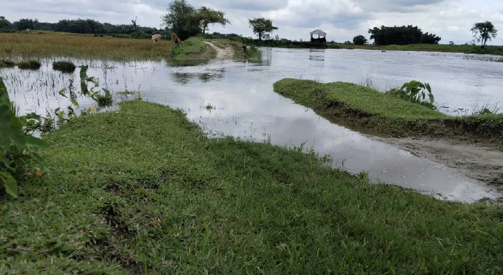 বর্ষা নামতেই জিগাতলি ঘাটের রাস্তায় ধস, বন্ধ যাতায়াত, বাড়ছে দুর্ভোগ