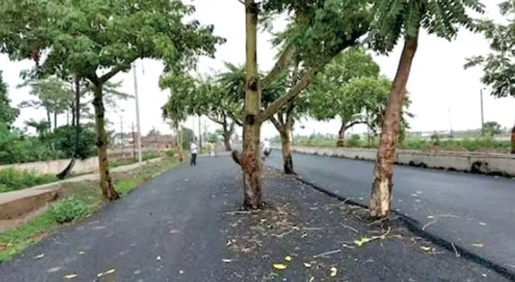 রাস্তার মাঝে গাছ, পাটনা-গয়া রোড যেন মরণফাঁদ