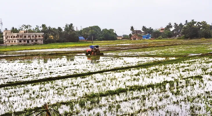 বর্ষার খামখেয়ালিপনা, পিছিয়ে যাচ্ছে চাষ