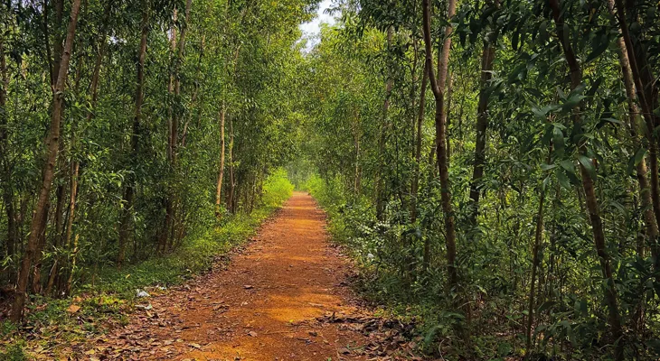 ঝাড়গ্রাম ভ্রমণে অফবিটের হদিশ দেবেন ৮০ জন গাইড