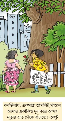 মজারু
