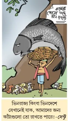 মজারু