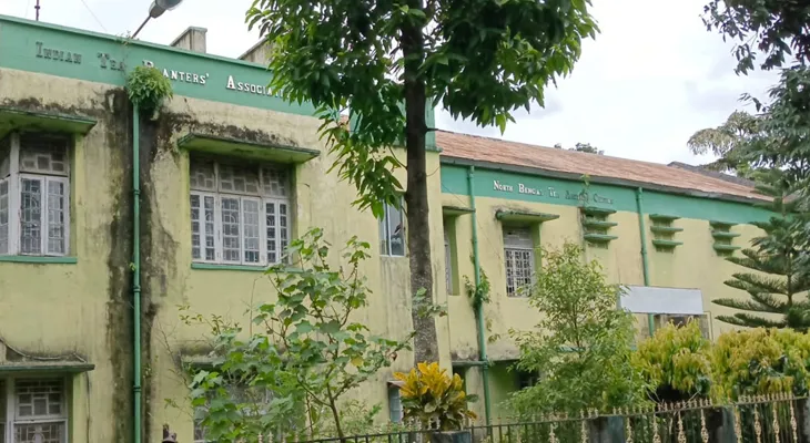 জলপাইগুড়িতে চা নিলামে ফের ধাক্কা