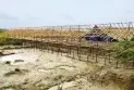 নদীর চরে ম্যানগ্রোভ কেটে পোল্ট্রি ফার্ম তৈরির অভিযোগ
