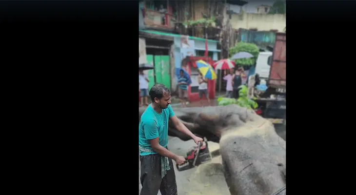 সেন্ট্রাল অ্যাভিনিউ সংলগ্ন দারিক গুহ লেনে ভেঙে পড়ল গাছ