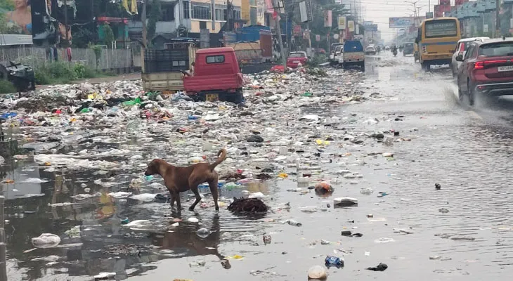 পানিহাটিতে বি টি রোডের উপর বৃষ্টির জমা জলে ভাসছে জঞ্জাল, দুর্গন্ধে নাজেহাল এলাকাবাসীরা
