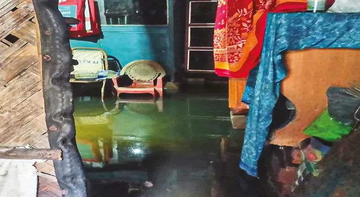 বাড়িতে হাঁটুসমান জলে ঘুরছে মাছ,  বৃষ্টিতে নাজেহাল উত্তর দমদম