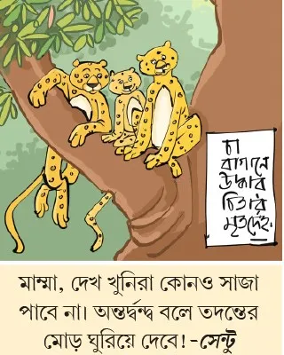 মজারু