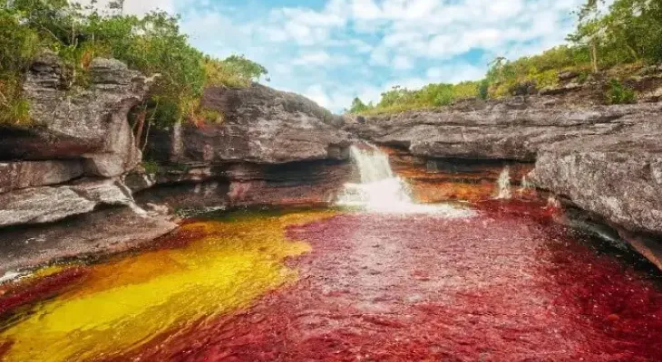 লিকুইড  রেইনবো