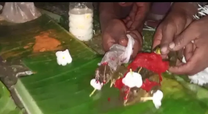 বৃষ্টির জন্য ব্যাঙের বিয়ে দিলেন গ্রামবাসীরা!