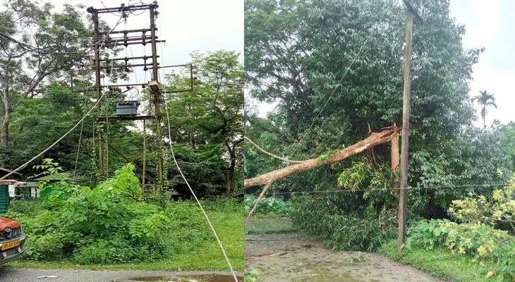 ঝড়ের জেরে লণ্ডভণ্ড ইলেকট্রিক ট্রান্সফরমার, পোস্ট! প্রায় ১৫ ঘণ্টা বিদ্যুৎহীন আলিপুরদুয়ার