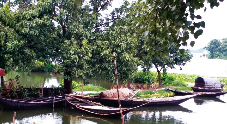 টানা বৃষ্টিতে জেলেদের মুখে হাসি ফুটেছে, মিলছে কাজলি, ট্যাংরা, মৌরলা