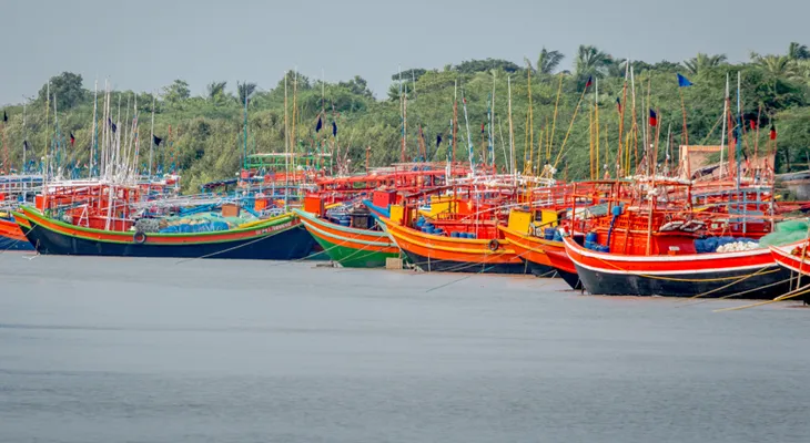 বোট লাইসেন্স ছাড়াই মাছ ধরতে যাচ্ছেন ক্যানিংয়ের মৎস্যজীবীরা