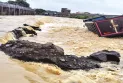সেচদপ্তর মেরামত করেও বাঁচাতে পারেনি, রামপুর ও রানিনগরে বাঁধ ভেঙে প্লাবিত বিঘে বিঘে জমি, জল ঢুকছে গ্রামেও
