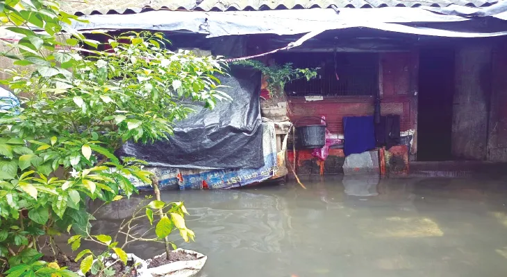 রাস্তায় হাঁটুসমান জল, ঘরে খেলছে মাছ, পশ্চিম মাসুন্দায় তীব্র ভোগান্তি