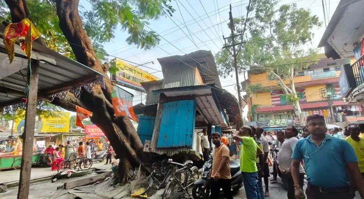ময়নাগুড়িতে ভেঙে পড়ল গাছ, ক্ষতিগ্রস্ত ৭টি দোকান