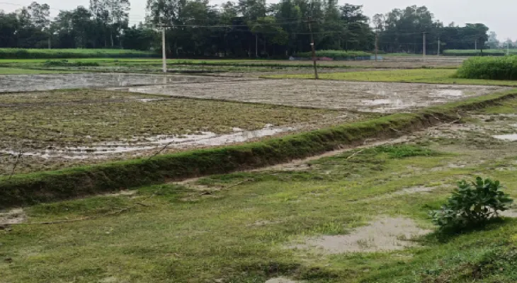 জাতীয় সড়কের জমি দখলমুক্ত করল পুলিস