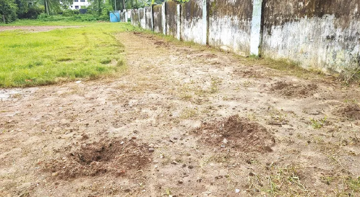 বাঁকুড়ায় বনমহোৎসবে রোপিত গাছ উধাও, চুরি করা চারাও যত্ন করে লাগান, বার্তা বনদপ্তরের