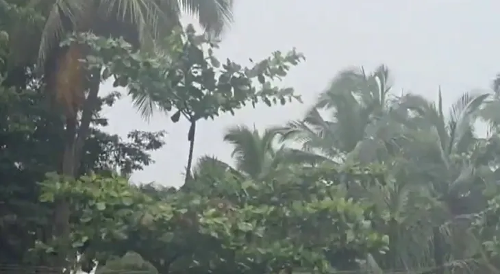 কর্ণাটকের মেঙ্গালুরুতে ভারী বৃষ্টির জেরে স্কুল ও কলেজে ছুটির ঘোষণা