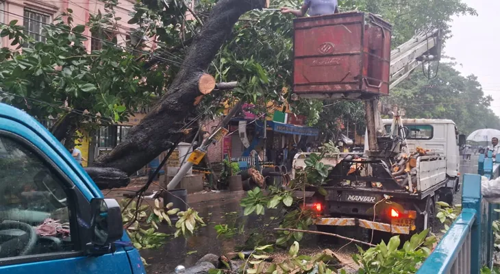 বিবেকানন্দ রোডে গাছ পড়ে রাস্তা অবরুদ্ধ, ঘটনাস্থলে পৌঁছেছেন পুরসভার কর্মীরা
