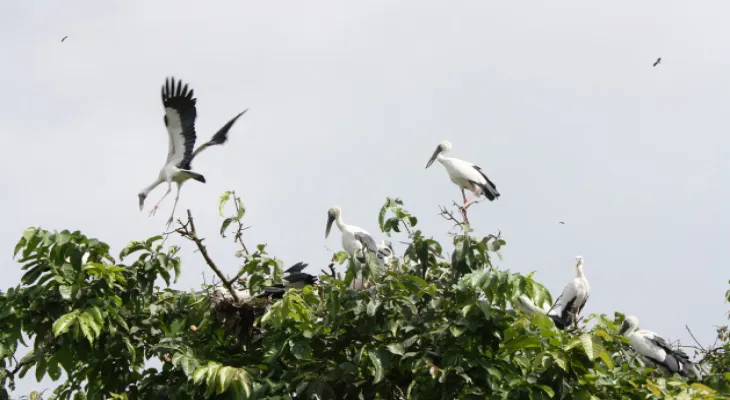 পরিযায়ী পাখি শিকারিরা অধরা রায়গঞ্জে জারি গ্রেপ্তারি পরোয়ানা