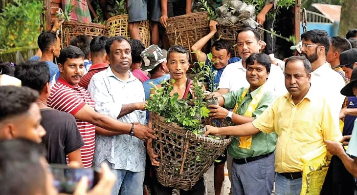 বক্সা পাহাড়ে ফের কমলা চাষের উদ্যোগ, বিলি ১২ হাজার চারা