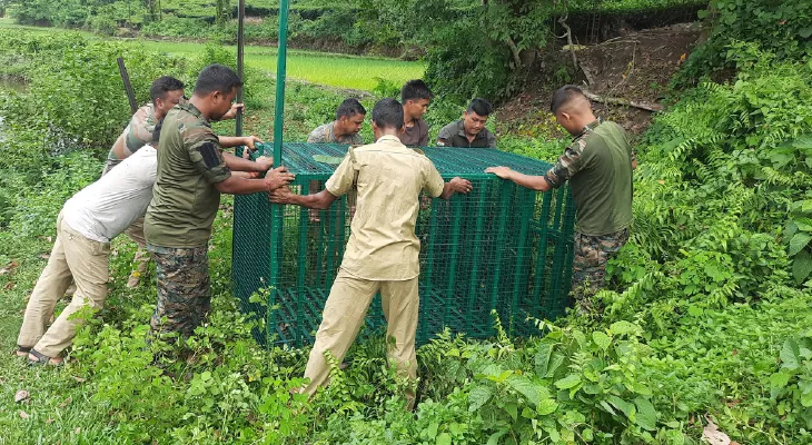 স্কুলের কাছেই চিতাবাঘের হানা! ভয়ে সিঁটিয়ে পড়ুয়ারা
